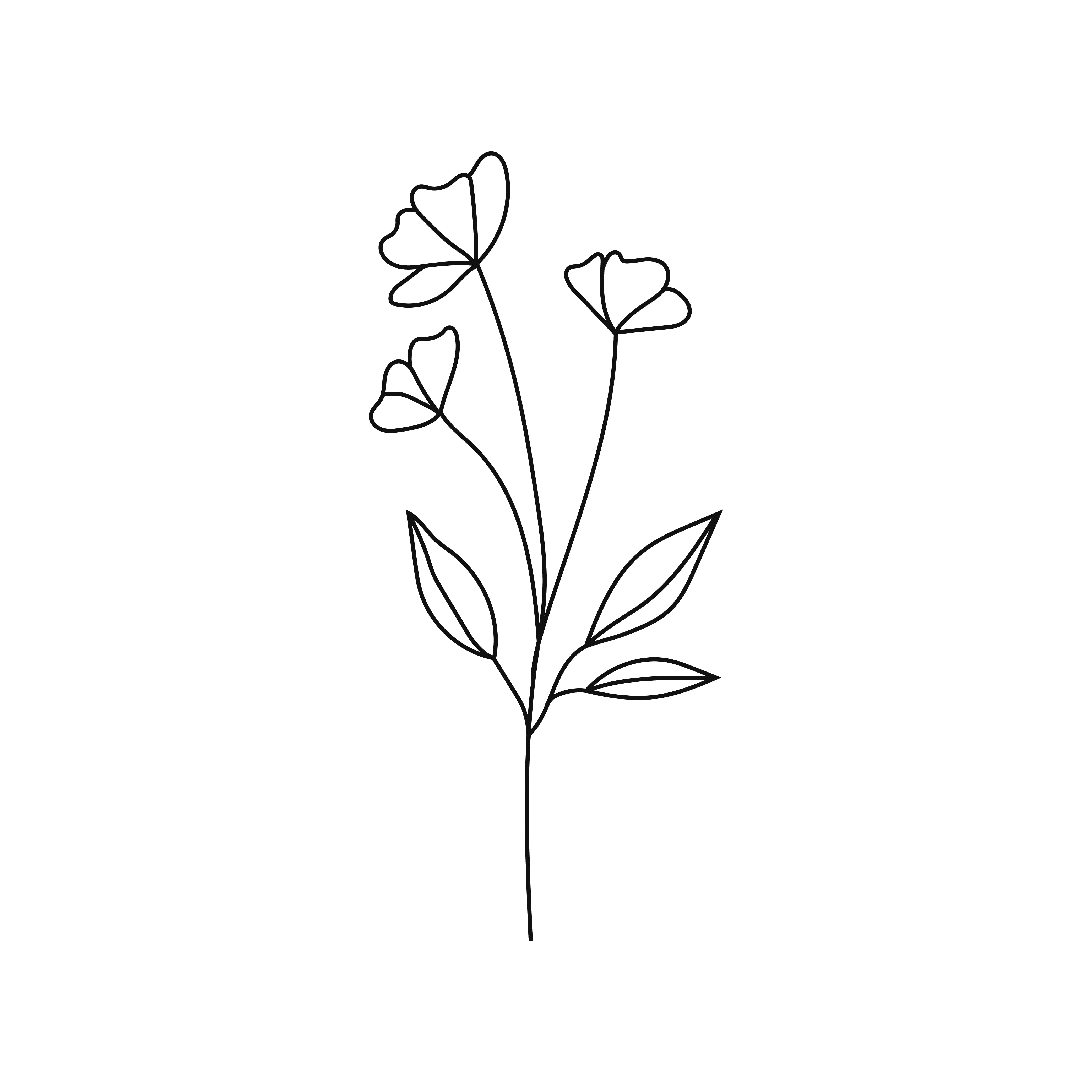 Doorstep Daisies Sydney flower delivery flower buds in black and white line drawing
