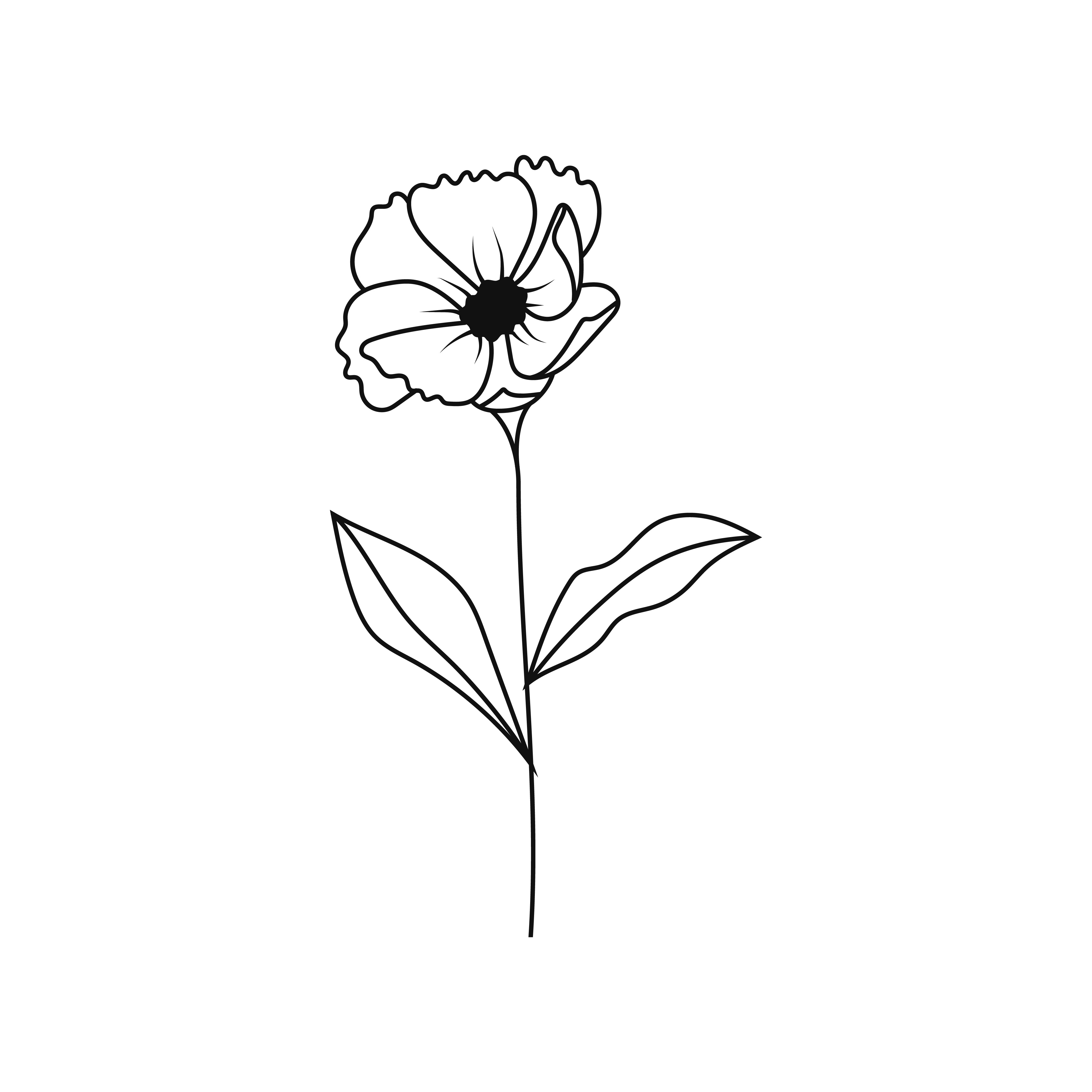 Doorstep Daisies Sydney flower delivery Poppy flower in black and white line drawing